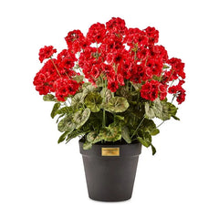 Red Geranium Urn Filler